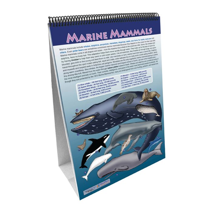 All About Animals Flip Chart Set