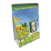 All About Plants Flip Chart Set