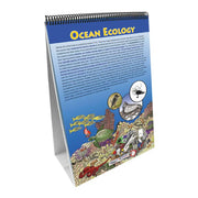 Earth's Oceans Flip Chart Set