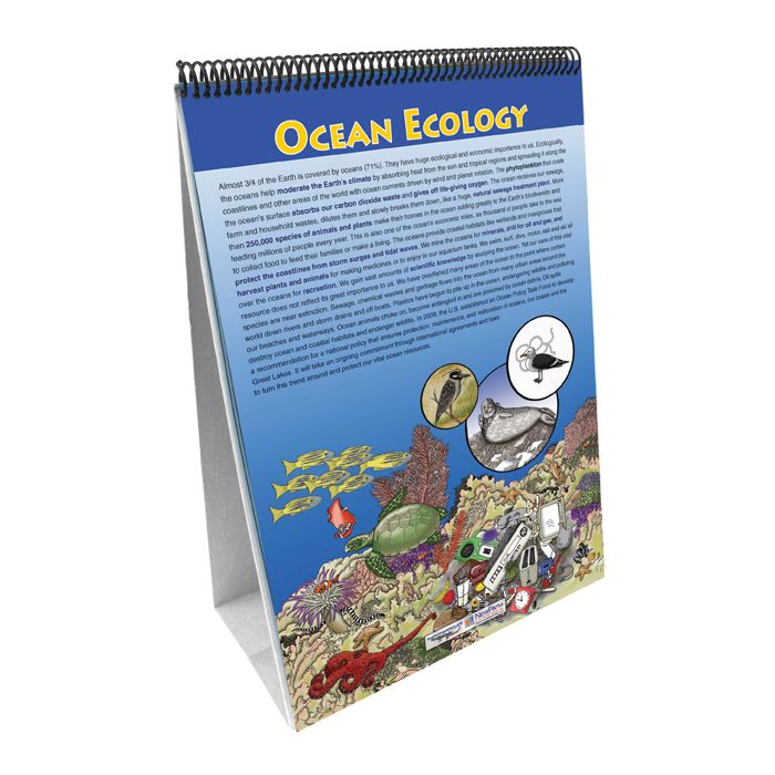 Earth's Oceans Flip Chart Set