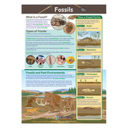 Fossils Poster