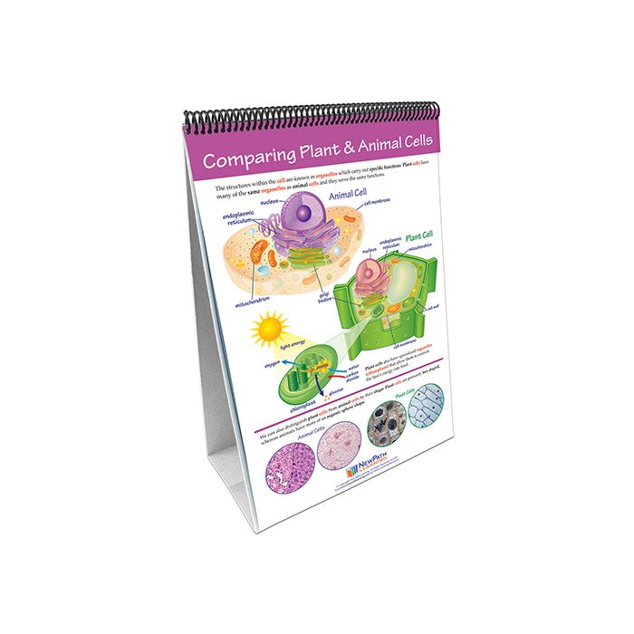 Cells Flip Chart Set