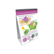 Cells Flip Chart Set w Online Multimedia Lesson