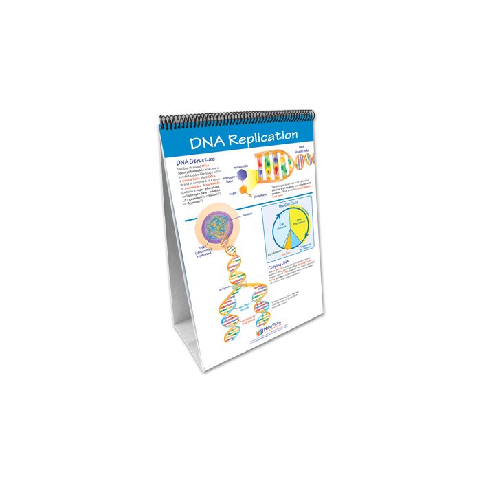 Mitosis: Cell Growth & Division Flip Chart Set