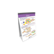 Chromosomes, Genes & DNA Flip Chart Set w Online Multimedia Lesson