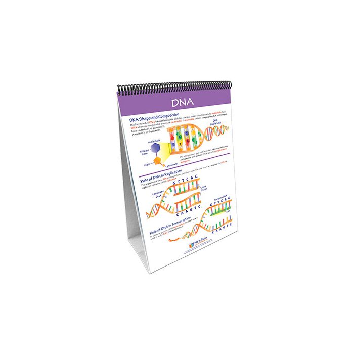 Chromosomes, Genes & DNA Flip Chart Set w Online Multimedia Lesson