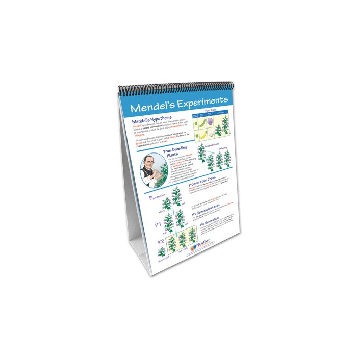 Genetics: The Study of Heredity Flip Chart Set