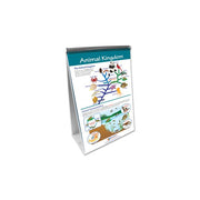 The Six Kingdoms Flip Chart Set