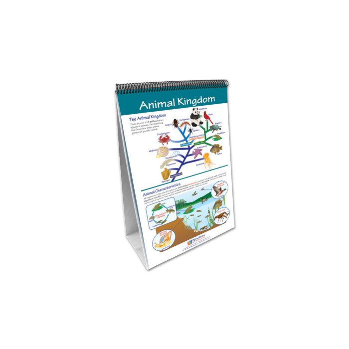 The Six Kingdoms Flip Chart Set