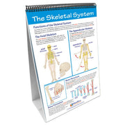 Human Body I: Moving & Controlling the Body Flip Chart Set
