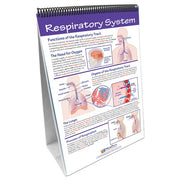 Human Body II: Providing Fuel & Transportation Flip Chart Set