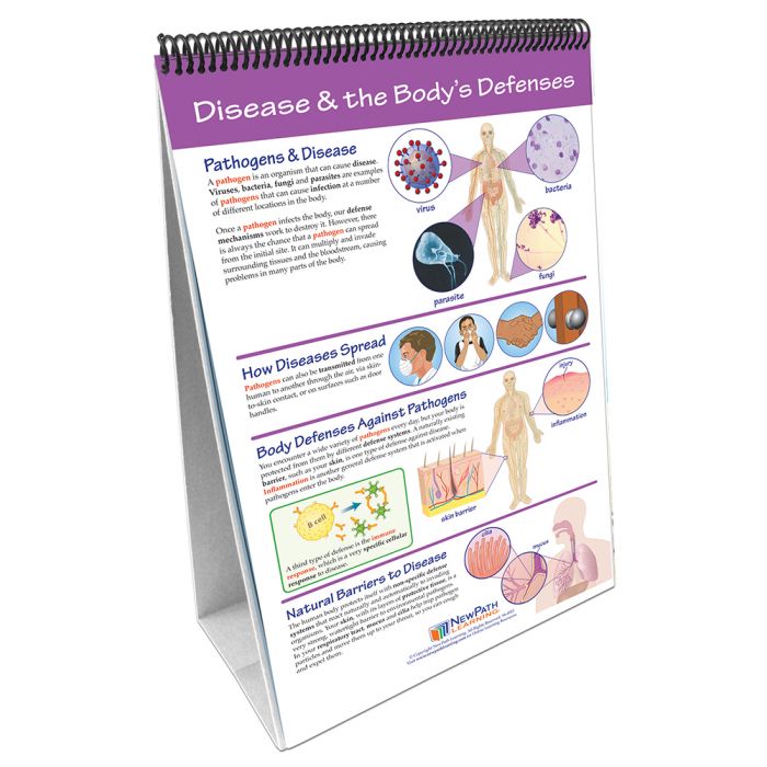 Human Body III: Maintaining Life Flip Chart Set w Online Multimedia Lesson