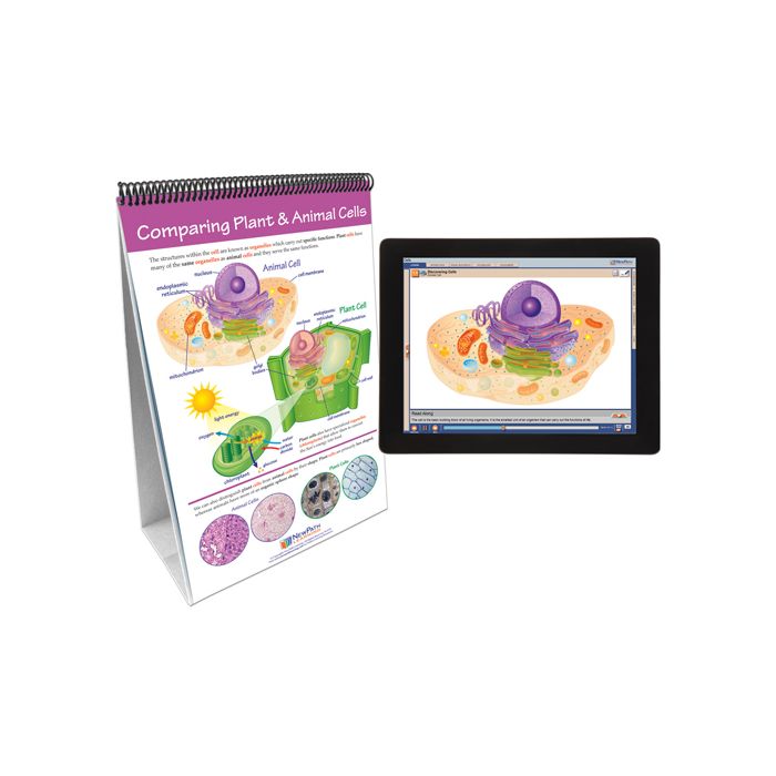 Cells Flip Chart Set w Online Multimedia Lesson