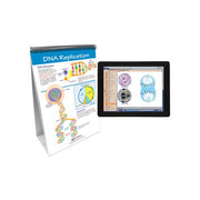 Mitosis: Cell Growth & Division Flip Chart Set w Online Multimedia Lesson