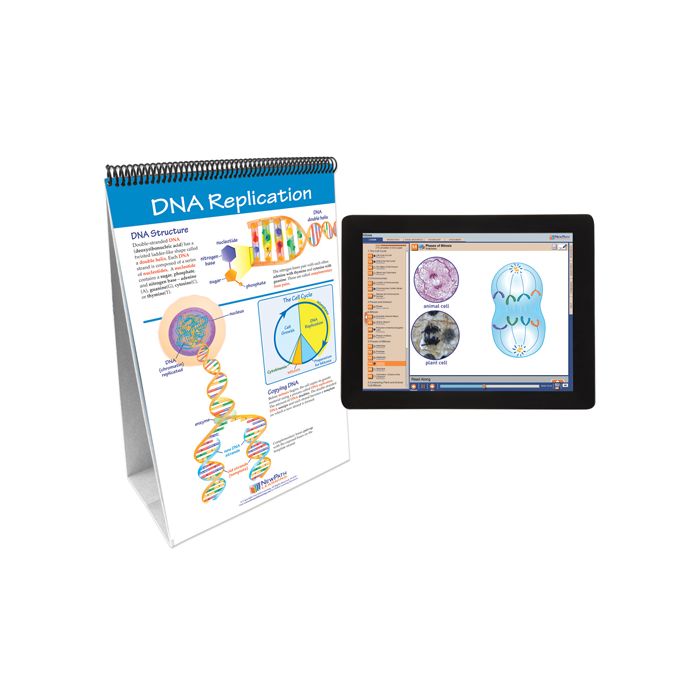 Mitosis: Cell Growth & Division Flip Chart Set w Online Multimedia Lesson