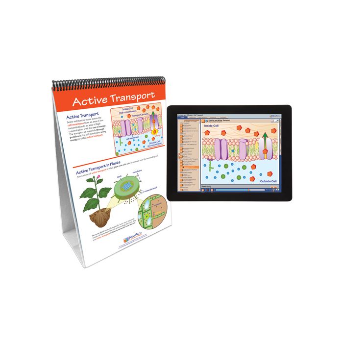 Osmosis Flip Chart Set w Online Multimedia Lesson