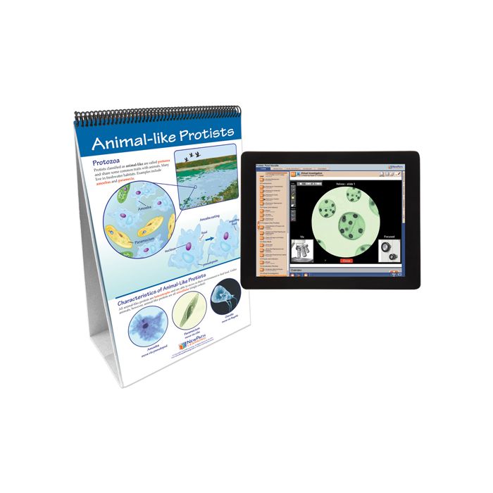 Protists: Pond Microlife Flip Chart Set w Online Multimedia Lesson