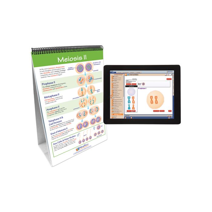 Meiosis: Creating Sex Cells Flip Chart Set w Online Multimedia Lesson