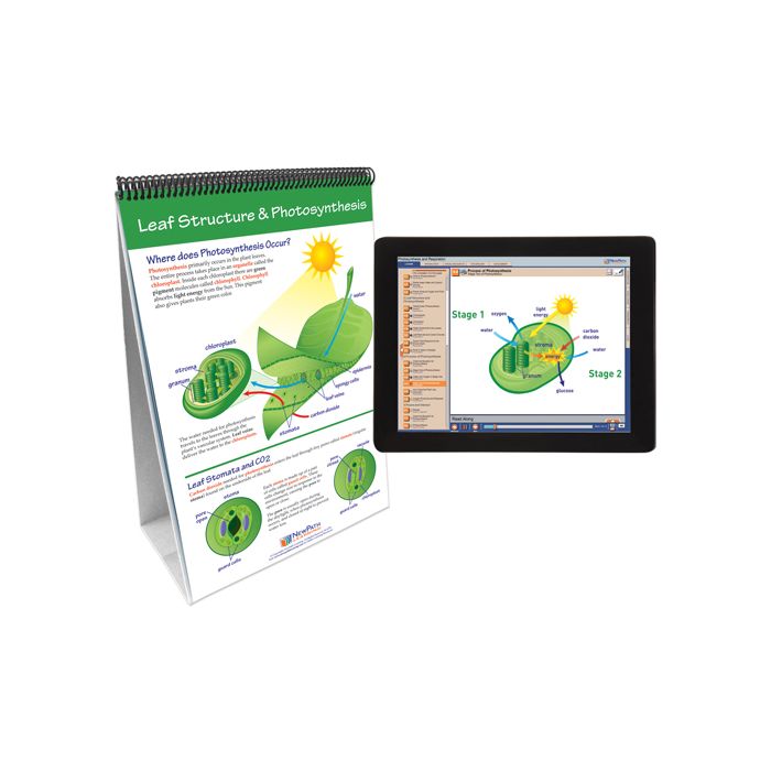 Photosynthesis & Cellular Respiration Flip Chart Set w Online Multimedia Lesson