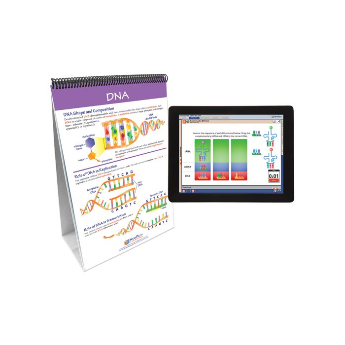 Chromosomes, Genes & DNA Flip Chart Set w Online Multimedia Lesson
