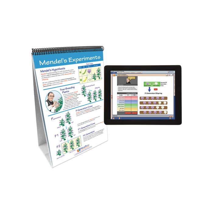 Sound Flip Chart Set w Online Multimedia Lesson