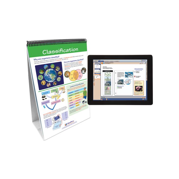 The Six Kingdoms Flip Chart Set w Online Multimedia Lesson