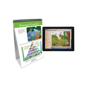 Food Chains & Food Webs Flip Chart Set w Online Multimedia Lesson
