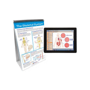 Human Body I: Moving & Controlling the Body Flip Chart Set w Online Multimedia Lesson