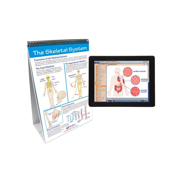 Human Body I: Moving & Controlling the Body Flip Chart Set w Online Multimedia Lesson