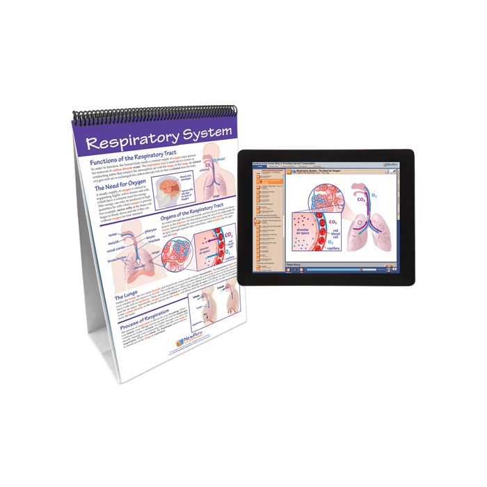 Human Body II: Providing Fuel & Transportation Flip Chart Set w Online Multimedia Lesson
