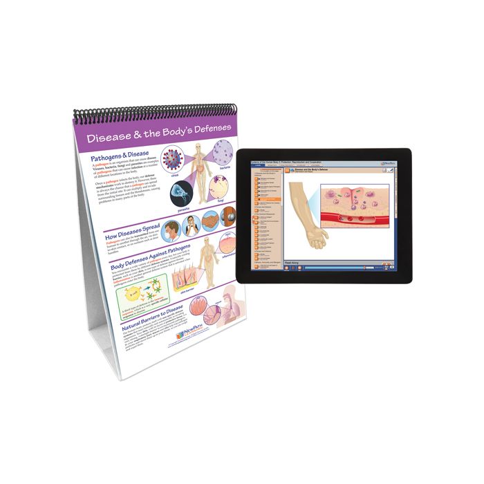 Human Body III: Maintaining Life Flip Chart Set w Online Multimedia Lesson