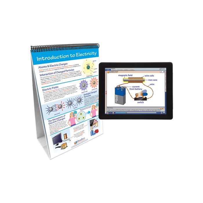 Electricity & Magnetism Flip Chart Set w Online Multimedia Lesson