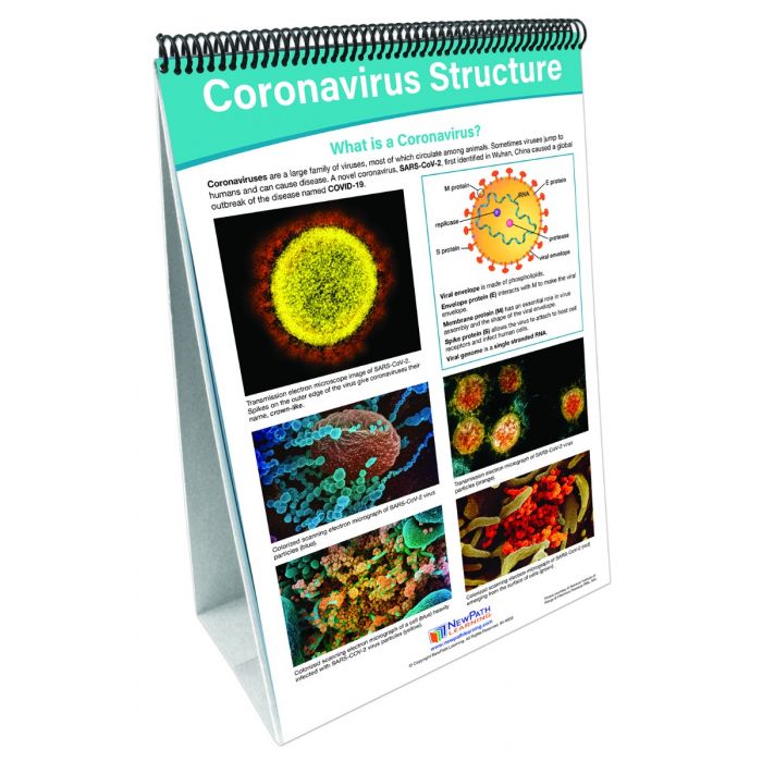 Coronavirus Awareness Curriculum Mastery Flip Charts
