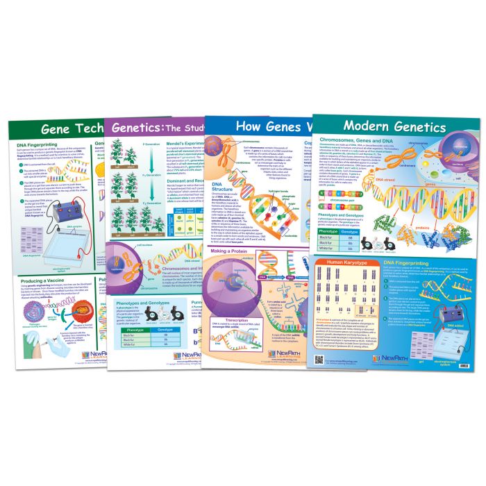 Genetics & Heredity Poster Set - Set of 4