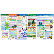 Life on Earth Poster Set - Set of 6