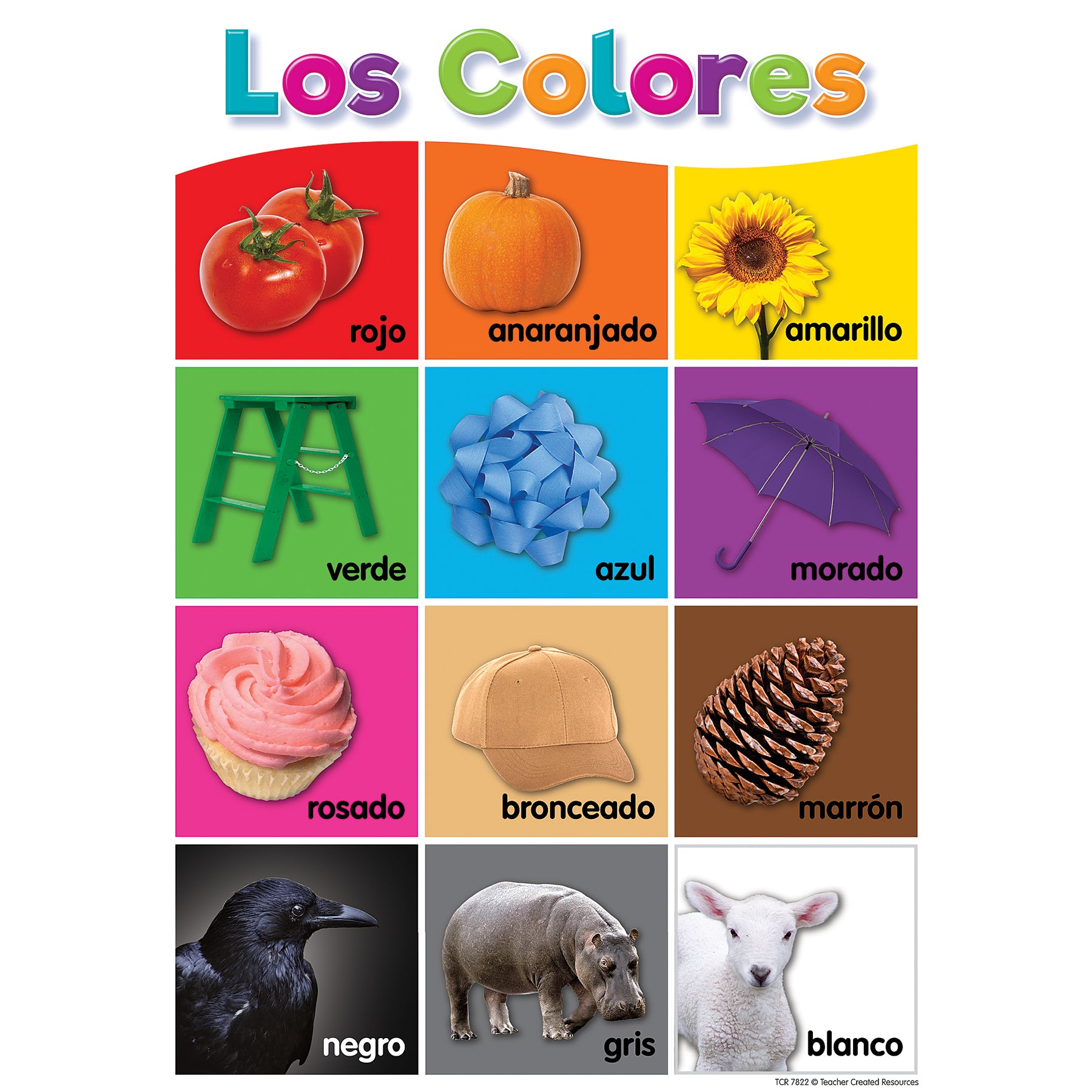 Spanish Colorful Early Learning Small Poster Pack, 11" x 15-3/4", Pack of 12