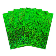 Holographic Card Stock - 8.5"x11" , 10pt, 5 Sheets, Menagerie - Green