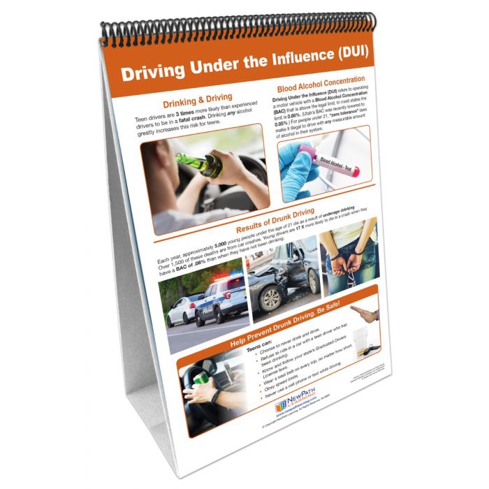 Alcohol Abuse & Addiction Flip Chart Set