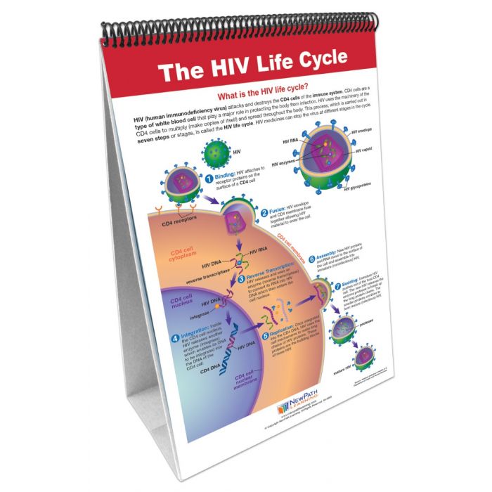 HIV & AIDS Flip Chart Set