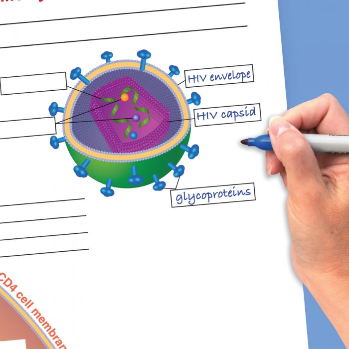 HIV & AIDS Flip Chart Set