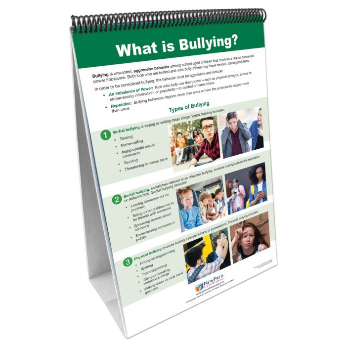 Stop Bullying Flip Chart Set