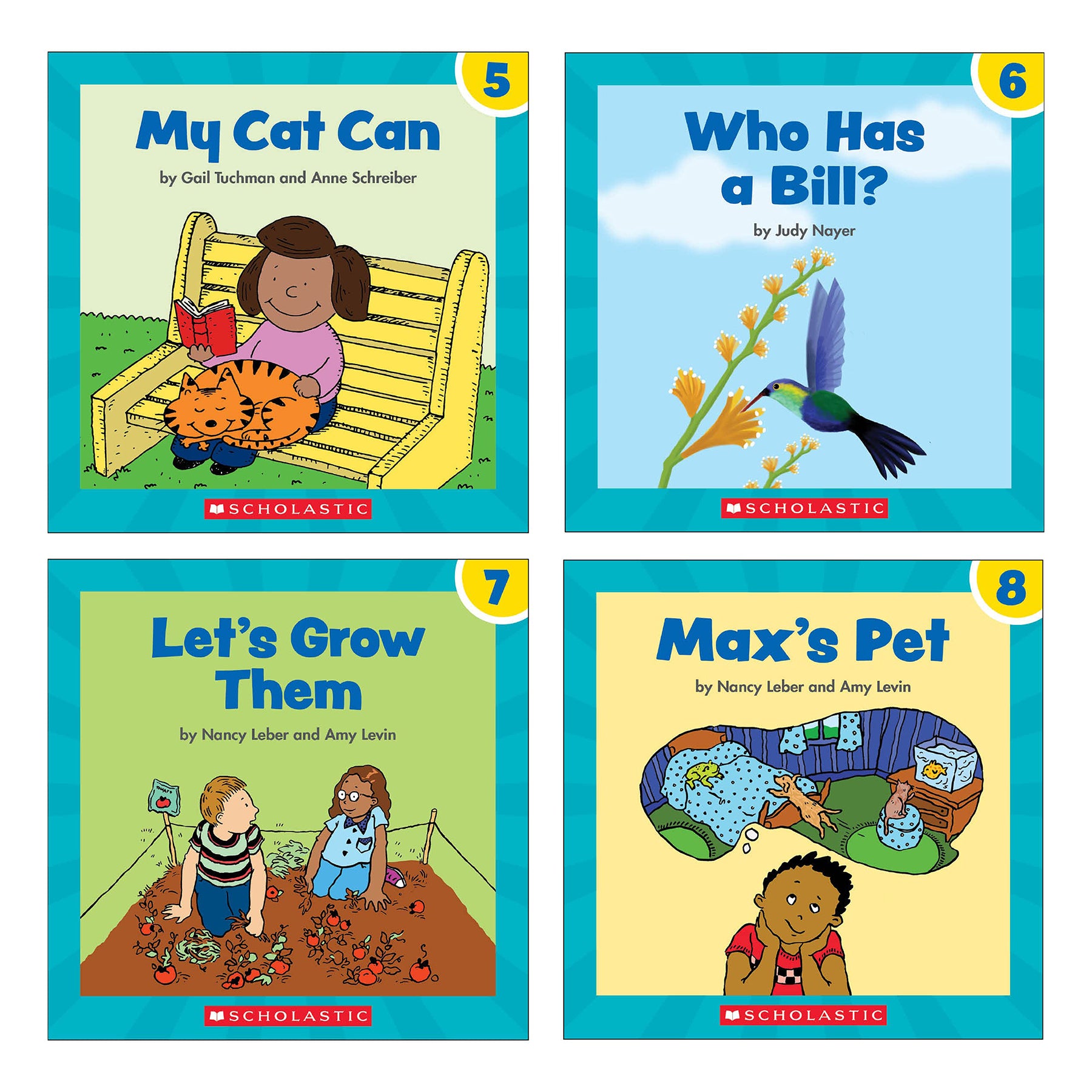 Phonics First Little Readers (Classroom Set)