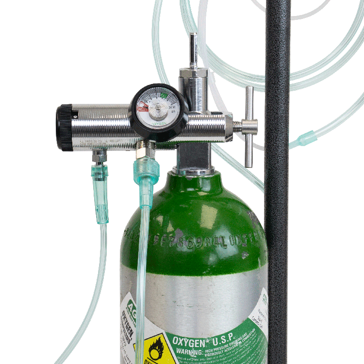 CGA 870 Oxygen Regulator - All Brass - 2-DISS Outlet - 0-25 - 5 per Case