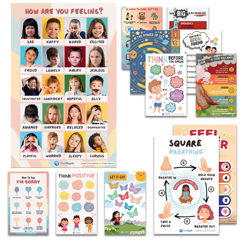 Laminated Feelings & Life Skills Posters for Kids, 11" x 17", English & Spanish, Set of 12