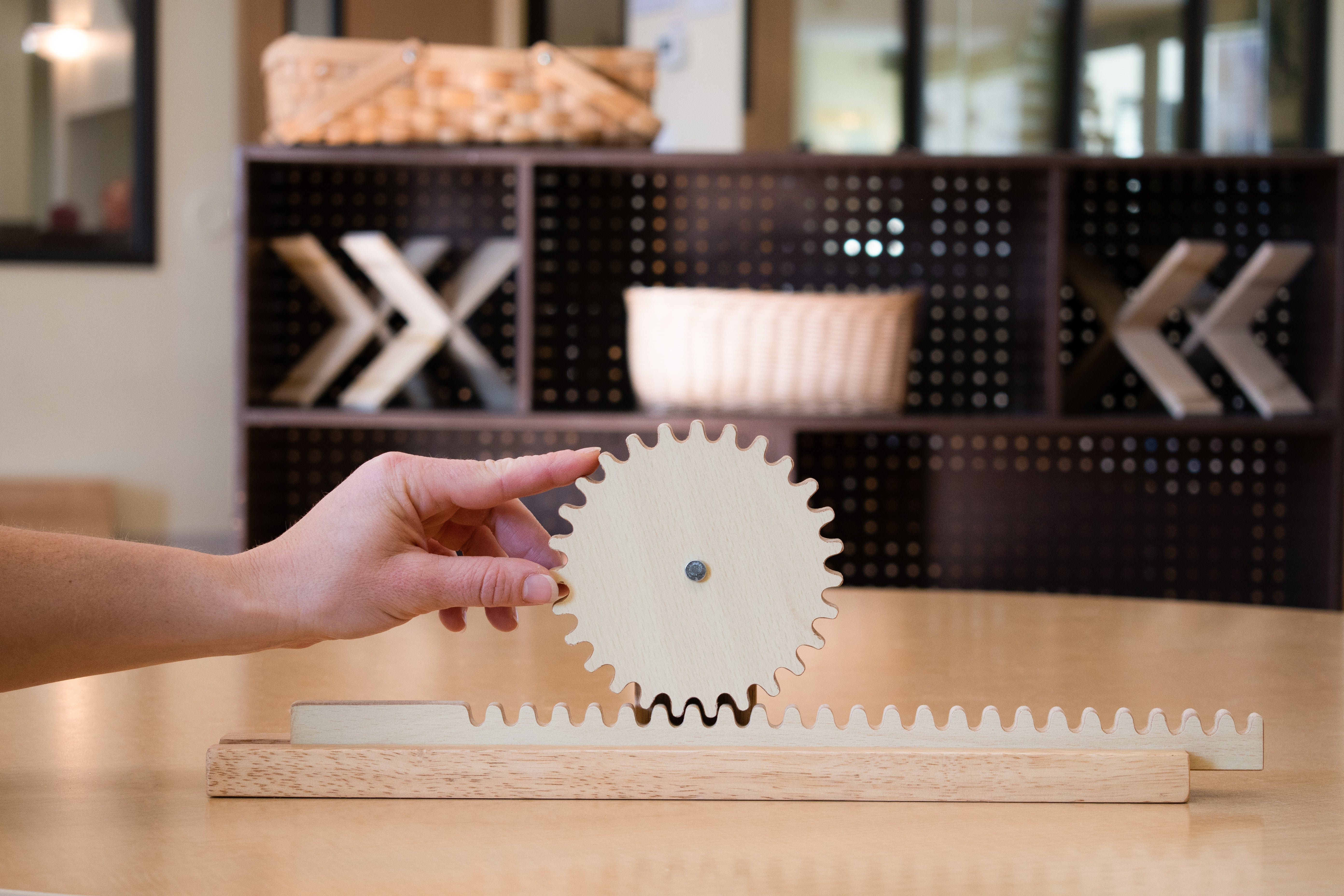 Gear Rack Wooden Model
