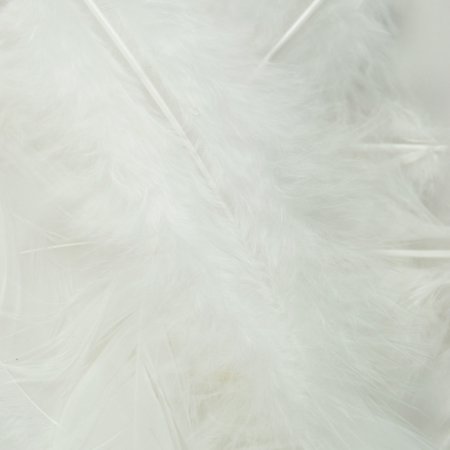 Flat Turkey Feathers 14g-White