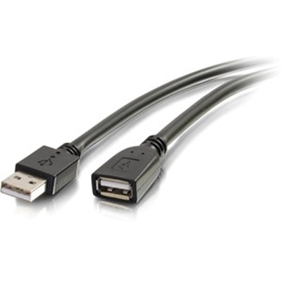 32Ft Plenum Usb Active Extensi