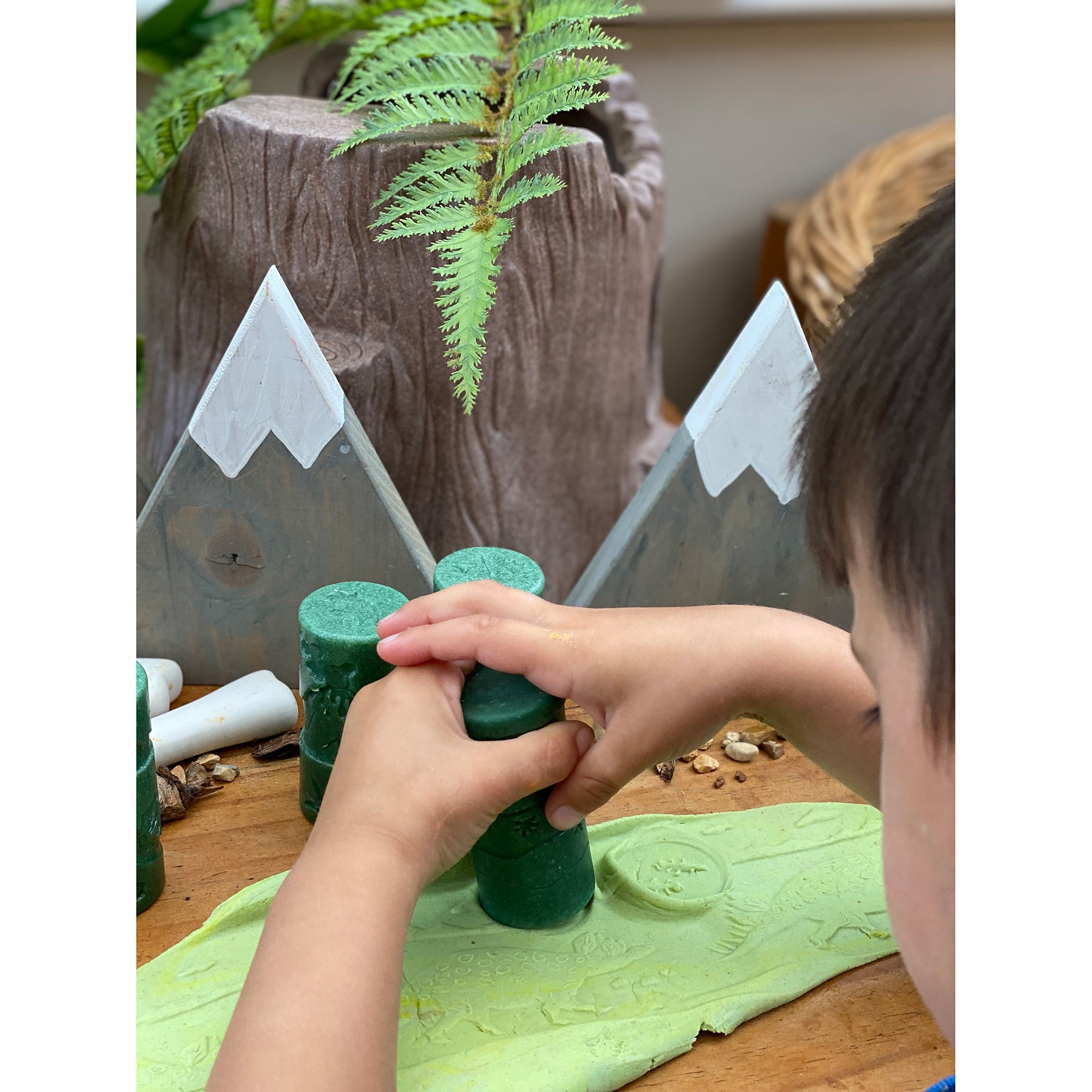 Let's Roll Dinosaurs - Set of 6