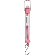 Spring Scale (100g - 1 N) PINK