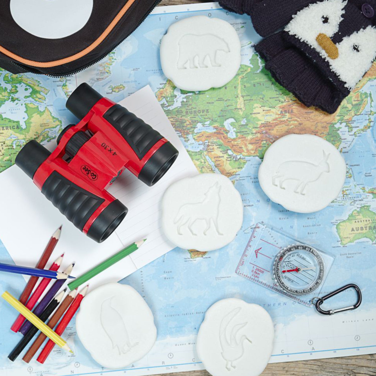 Let's Investigate Polar Footprints, Set of 8